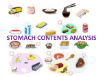 stomach contents analysis