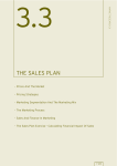 THE SALES PLAN