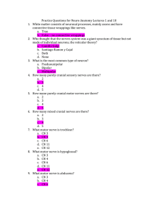 Practice Questions for Neuro Anatomy Lectures 1 and 10 White