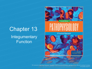 Chapter 13 Integumentary Function