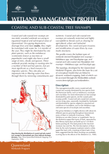 Coastal and sub-coastal tree swamps