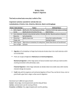 Biology Notes Chapter 4: Digestion The food an animal eats every