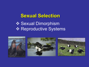 Sexual Selection