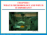 CHAPTER 1 WHAT IS MICROBIOLOGY AND WHY IS IT IMPORTANT?