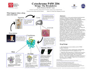 Cytochrome P450 2D6 - Center for BioMolecular Modeling