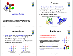 Amino Acids - U of L Class Index
