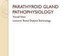 PARATHYROID GLAND PATHOPHYSIOLOGY