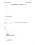 Nervous System Chapter 14 – 18