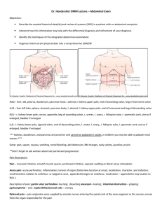 Dr. Hendershot OMM Lecture – Abdominal Exam Objectives: Describe