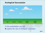 Ecological Succession - Galena Park ISD Moodle