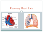 Recovery Heart Rate