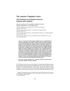 The Anterior Cingulate Cortex - John Allman