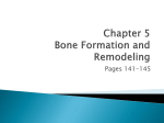 Chapter 5 Bone Formation and Remodeling