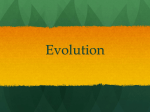 Evolution - WordPress.com