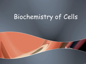 Biochemistry of Cells - Lakewood City Schools