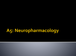 A5: Neuropharamcology (student) - Ms De Souza`s Super Awesome