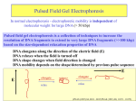 Field Analyzer