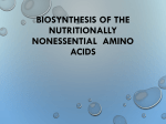 Biosynthesis of the nutritionally nonessential amino acids