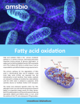 Fatty acid oxidation