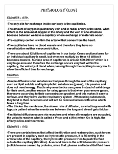 Physiology (L09) Slides#58 + #59 :