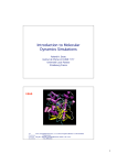 Introduction to Molecular Dynamics Simulations