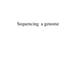 Sequencing a genome - Information Services and Technology