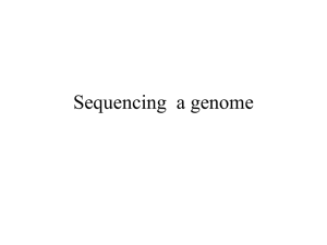 Sequencing a genome - Information Services and Technology