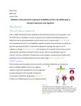 Inhibition of the p53 tumor suppressor by MDM2