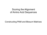 Scoring the Alignment of Amino Acid Sequences