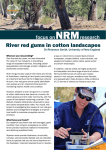 River red gums in cotton landscapes