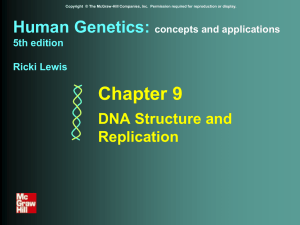 DNA structurereplication2014