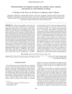 Characterization of transport systems for cysteine, lysine, alanine