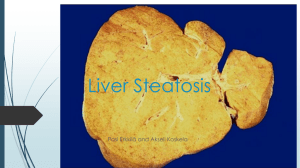 Liver Steatosis