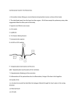 Cardiovascular System Test Review Key 1. Pericardium (loose fitting