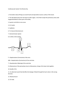 Cardiovascular System Test Review Key 1. Pericardium (loose fitting