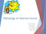 Lecture 6- Pathology of Uterine Cervix 2014, Sufia
