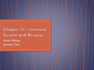 Chapter 31 Immune System and Diseases