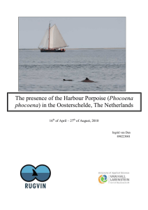 The presence of the Harbour Porpoise (Phocoena