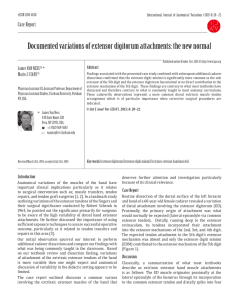 Documented variations of extensor digitorum attachments: the new