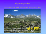 Alpine vegetation lecture