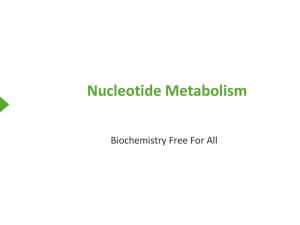 Nucleotide Metabolism