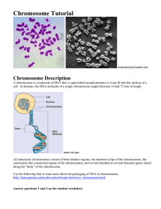Chromosome Tutorial