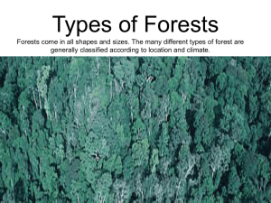 Types of Forests