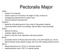 Pectoralis Major - Fullfrontalanatomy.com