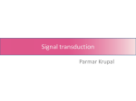 Signal transduction