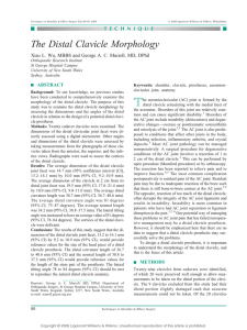 The Distal Clavicle Morphology