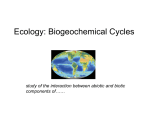 Ecology: Biogeochemical Cycles