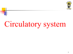 Blood circulation