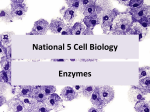 Cell Biology - smithycroft