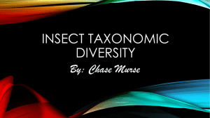 Insect Taxonomic Diversity